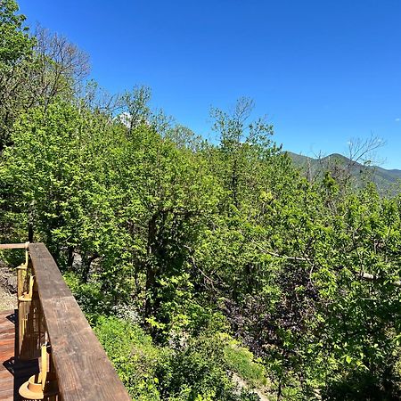瓦勒罗盖Les Magnels住宿加早餐旅馆 外观 照片